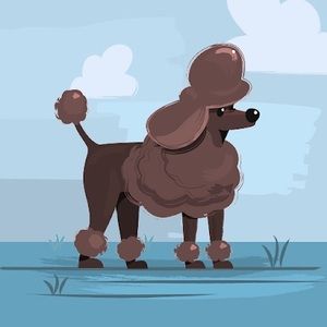 Meet your Posher, Nelle